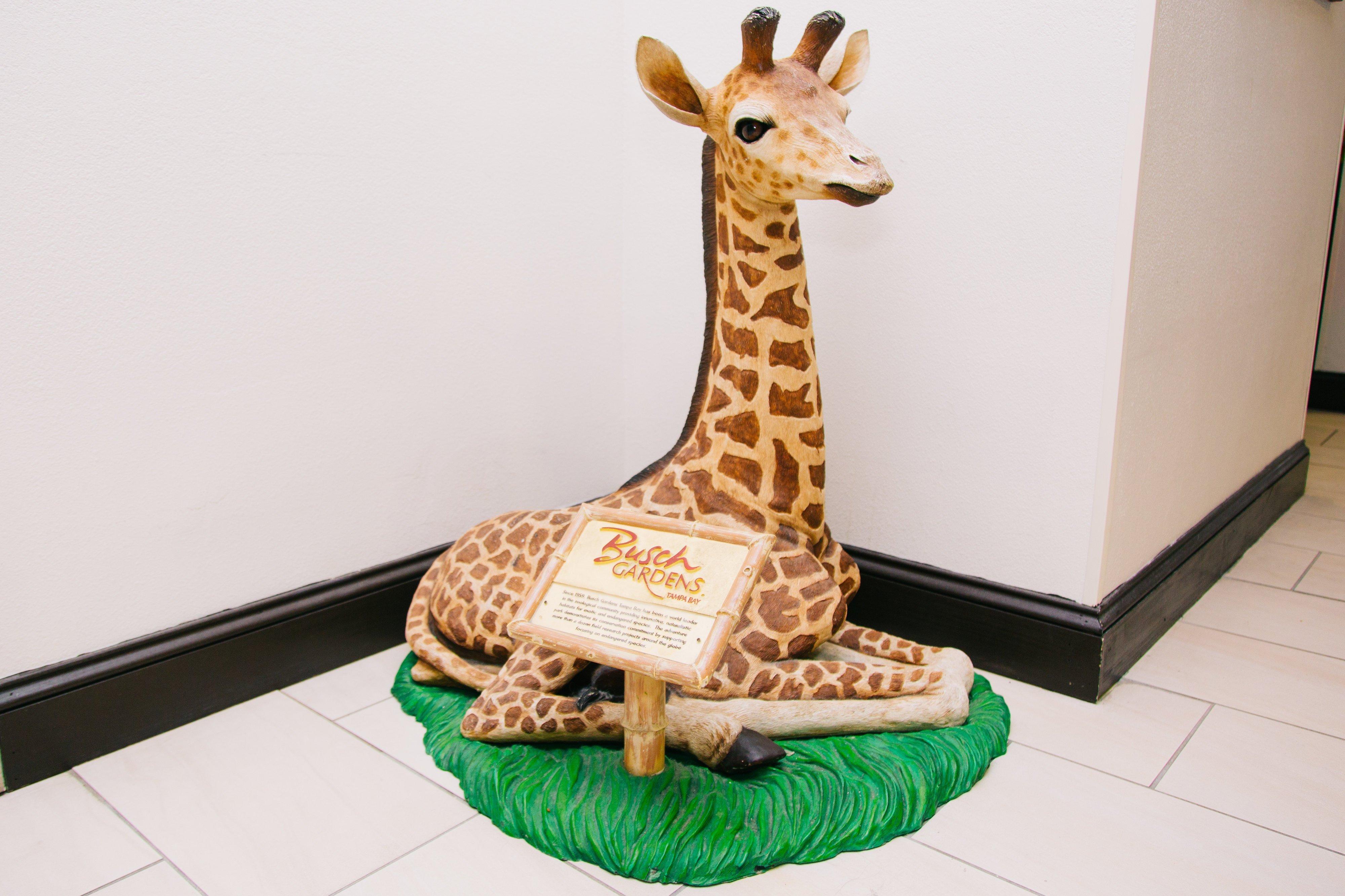 Holiday Inn Express Hotel & Suites Tampa-Usf-Busch Gardens By Ihg Exteriör bild