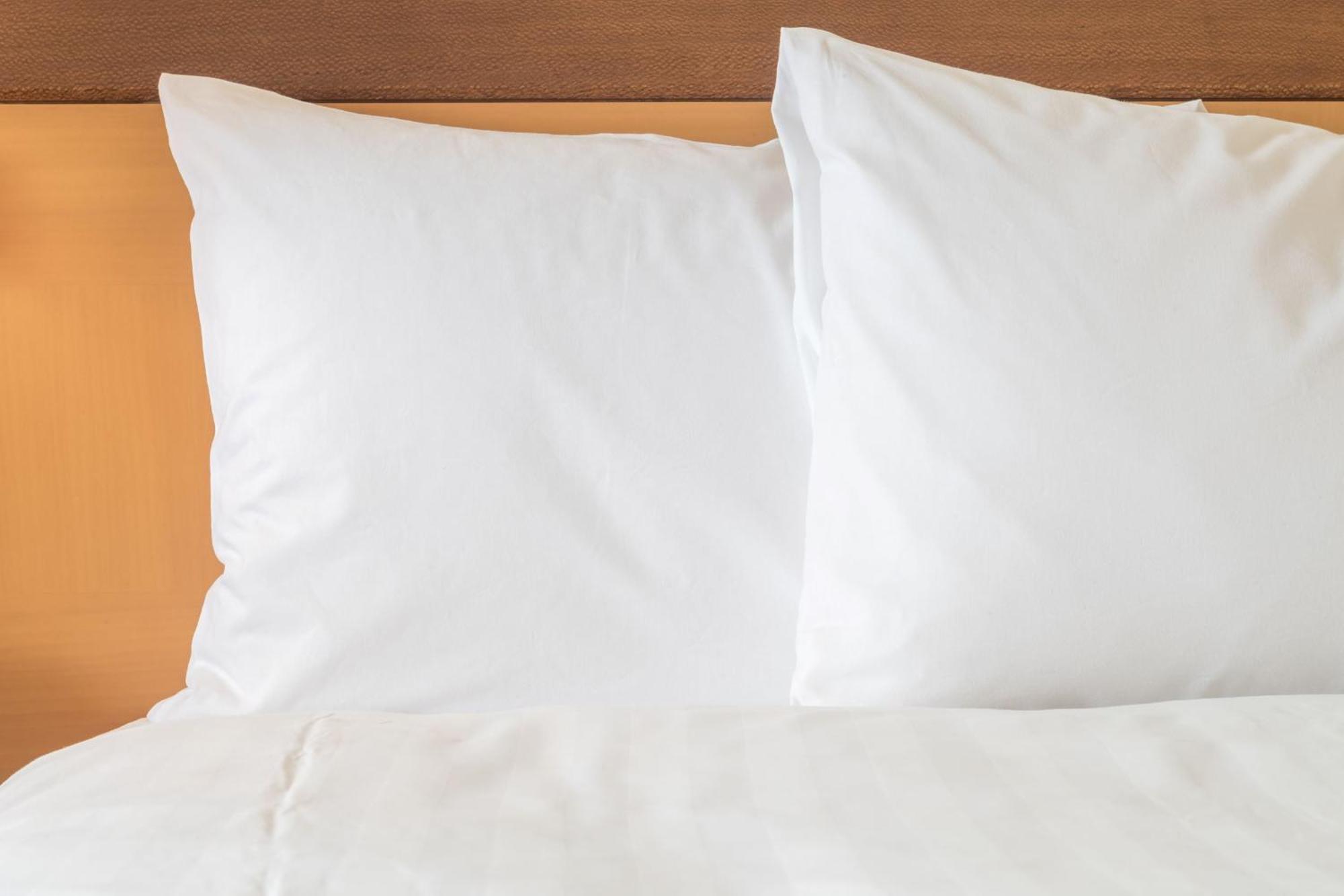 Holiday Inn Express Hotel & Suites Tampa-Usf-Busch Gardens By Ihg Exteriör bild