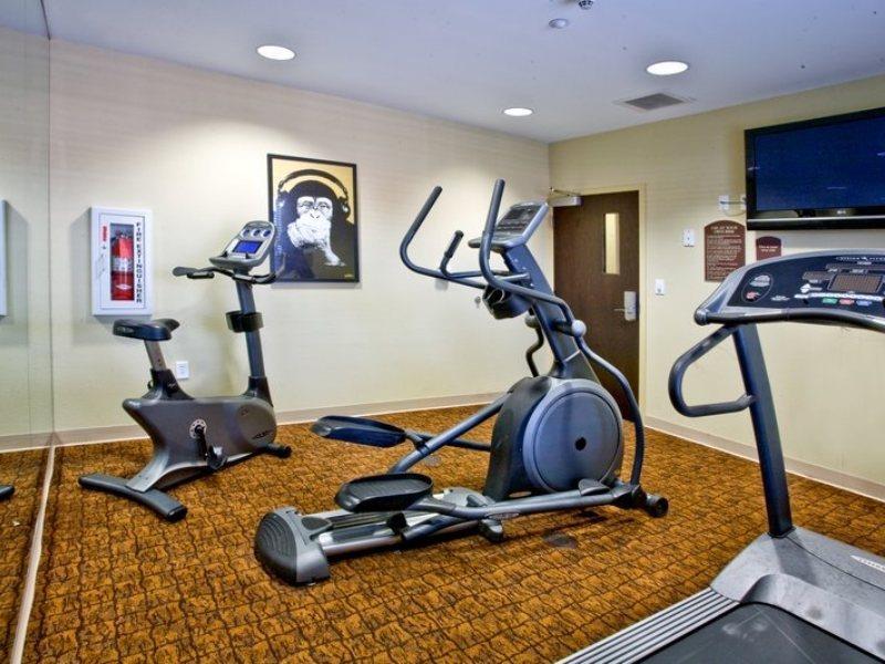 Holiday Inn Express Hotel & Suites Tampa-Usf-Busch Gardens By Ihg Exteriör bild