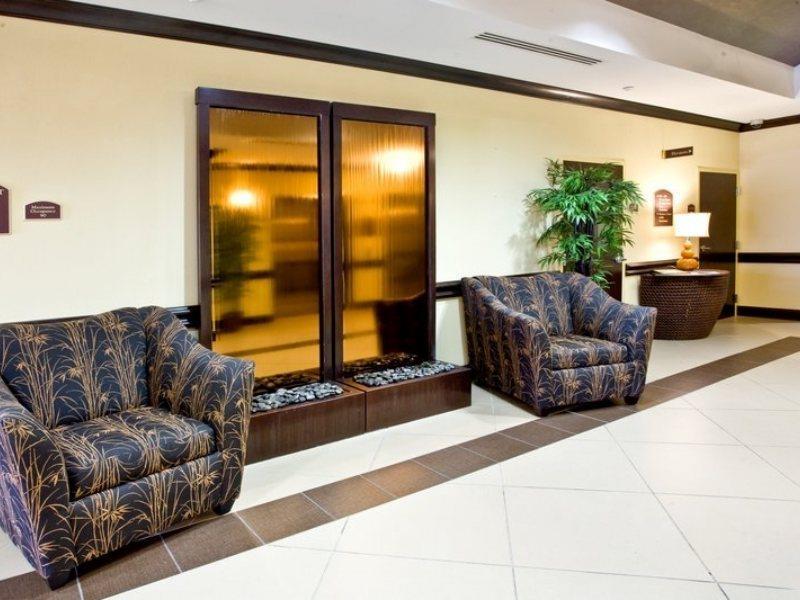 Holiday Inn Express Hotel & Suites Tampa-Usf-Busch Gardens By Ihg Exteriör bild