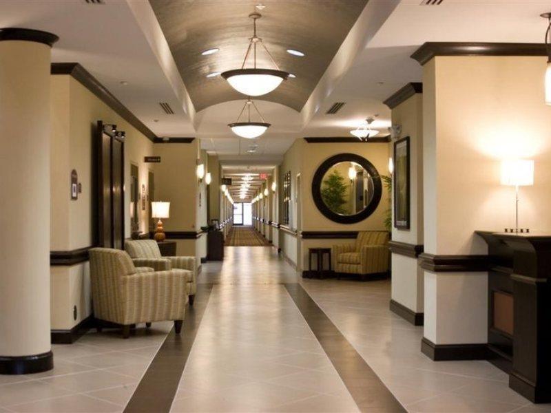 Holiday Inn Express Hotel & Suites Tampa-Usf-Busch Gardens By Ihg Exteriör bild
