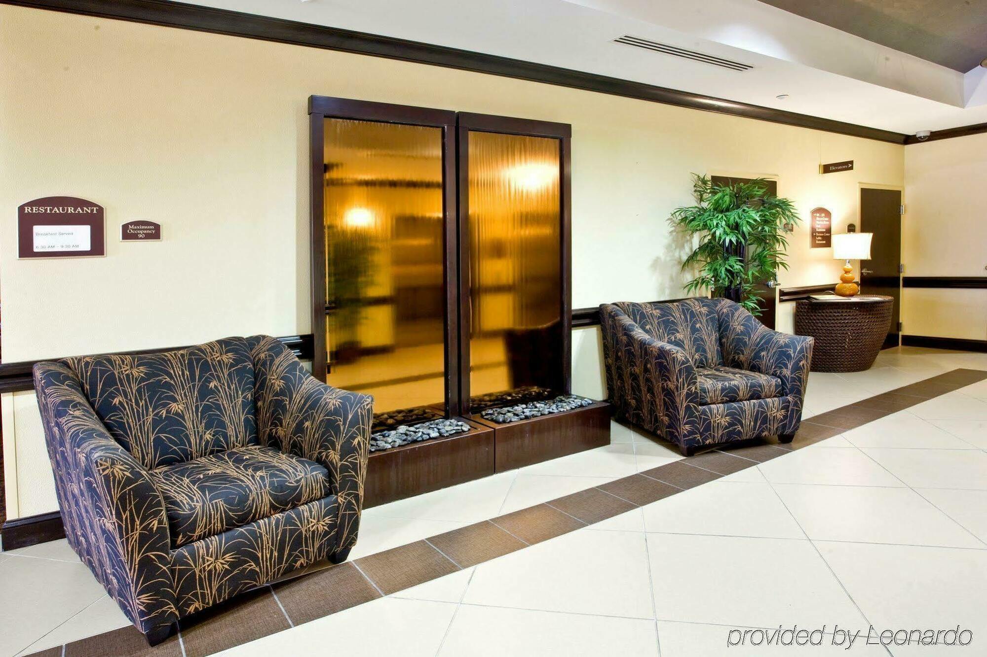 Holiday Inn Express Hotel & Suites Tampa-Usf-Busch Gardens By Ihg Exteriör bild