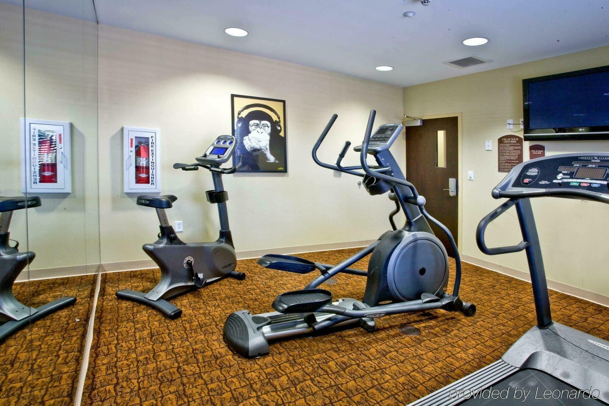 Holiday Inn Express Hotel & Suites Tampa-Usf-Busch Gardens By Ihg Exteriör bild