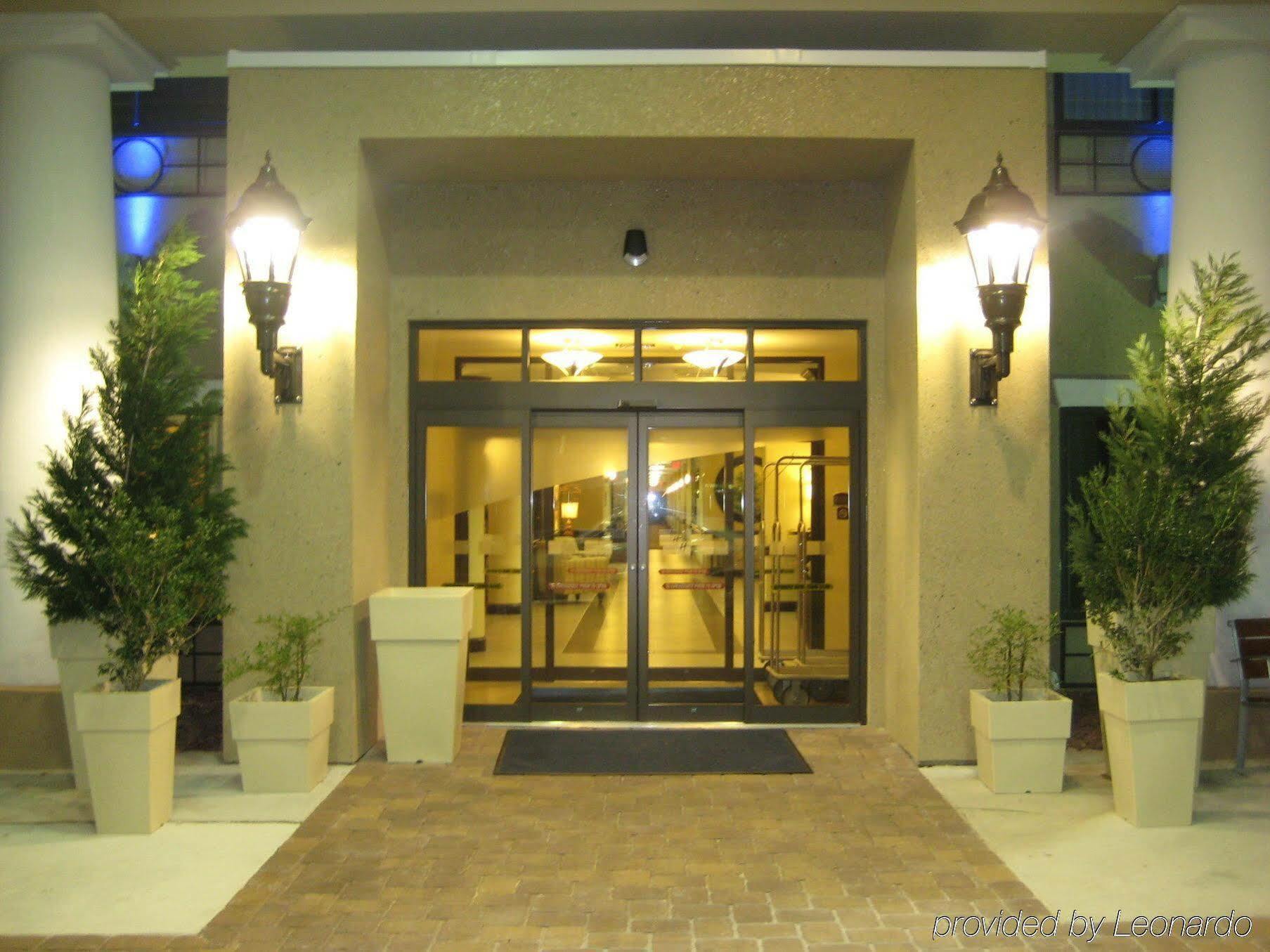 Holiday Inn Express Hotel & Suites Tampa-Usf-Busch Gardens By Ihg Exteriör bild